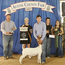 reed dittert austin co fair