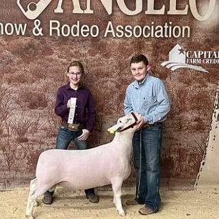 rt bedwell breeding 3rd san angelo