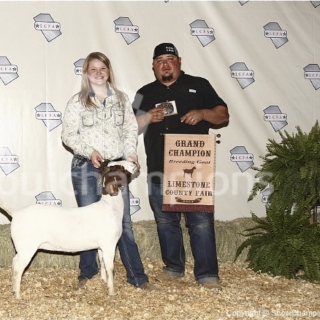 samantha mullins breeding goat