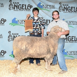 seth parker san angelo breeding ewe