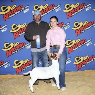 shelby perrenoud 1st commercial ewe