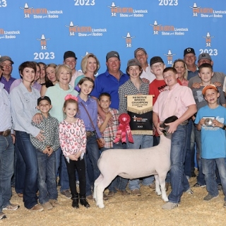 stihl skelton res champ houston