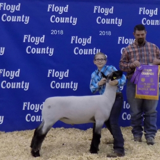 sydney grand champion