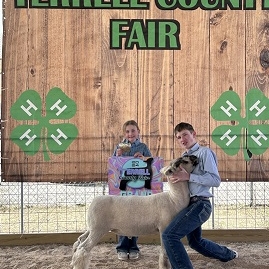 trevin Houston GC lamb county