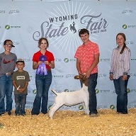 wyatt griffin wyoming fair champion LW Goat